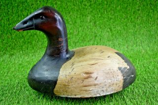 Antique Primitive Canvasback Duck Decoy With Mounted Lead Weight