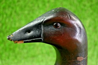 Antique Primitive Canvasback Duck Decoy With Mounted Lead Weight 2