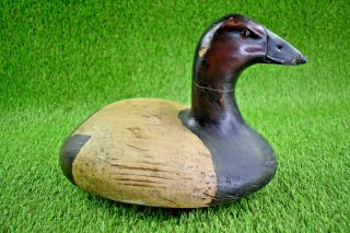 Antique Primitive Canvasback Duck Decoy With Mounted Lead Weight 5