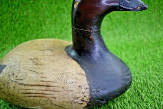 Antique Primitive Canvasback Duck Decoy With Mounted Lead Weight 7