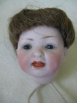 Antique Louis Wolf 152,  Bisque Baby Doll Head,  Glass Eyes,  Open,  Close Mouth