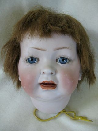 Antique Bisque Baby Doll Head,  152 L.  W.  Louis Wolf,  Parts.