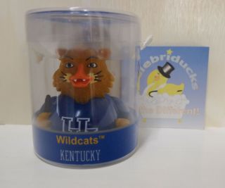 Kentucky Wildcats Mascot Celebriduck Univ Of College Sports U Of Ky Rubber Duck