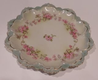 Lovely Mz Austria Antique Display Porcelain China Plate