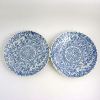 Pair Large Japanese Blue And White Porcelain Chargers Decorated In Chinese Style