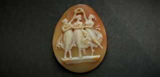 Antique Three Graces Greek Mythology Scene Cameo Shell For Brooch/pendant