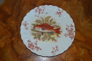 Antique Marx & Gutherz Fish Plate Hand Painted 1876 - 1889 Carlsbad Austria