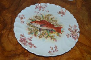 Antique Marx & Gutherz Fish Plate Hand Painted 1876 - 1889 Carlsbad Austria 2