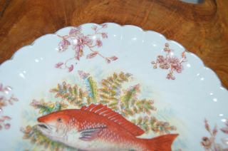 Antique Marx & Gutherz Fish Plate Hand Painted 1876 - 1889 Carlsbad Austria 4