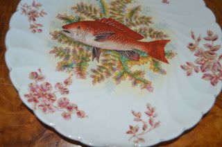 Antique Marx & Gutherz Fish Plate Hand Painted 1876 - 1889 Carlsbad Austria 5