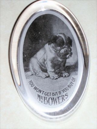 ANTIQUE GLASS ADVERTISING PAPERWEIGHT 1900s MR BOWERS GROCER PUPPY MUZZLED 7