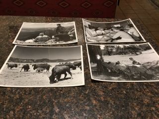 Vintage 8x10 Black And White Photos Of Philmont Scout Ranch