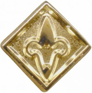 Boy Scout Cub Webelos Recognition Device Award Pin Official Bsa Licensed Bsa