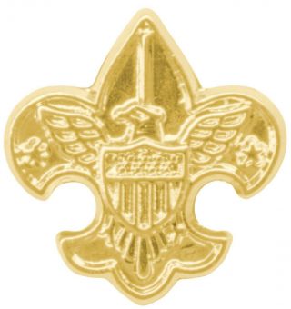 Boy Scout Scouters Key Device Pin Official Bsa Eagle Shield Logo Licensed