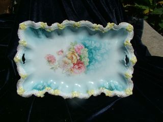 Antique Rs Prussia Germany Porcelain Floral Celery Tray