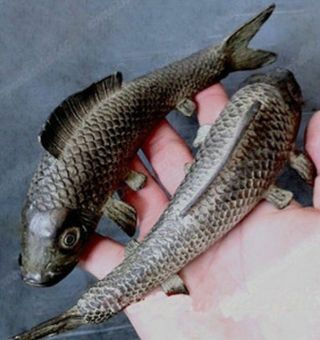 1 Pair (two) Ancient Japan Pure Bronze Sculpture Vivid Cyprinoid Carp Fish