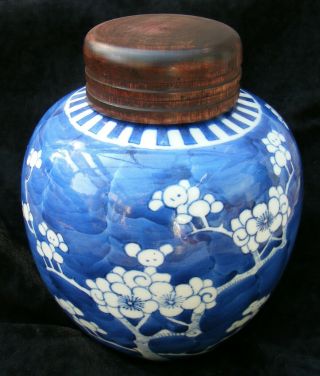 Chinese Ginger Jar - Prunus Pattern - C 1900 - 6 " High - Wooden Cover