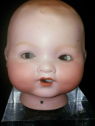Vintage Antique German Arranbee Bisque Baby Doll Head Serial 020/ 2