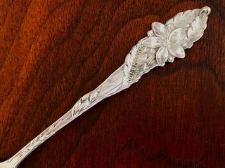 - American Sterling Silver Souvenir Spoon For Denver,  Co.  Columbine Handle