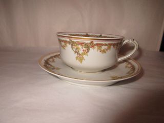 Antique Haviland Limoges Holly Berries Cup&saucer Made For Pd&g Co Indianapolis