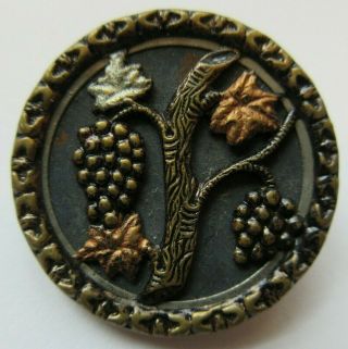 Wonderful Large Antique Vtg Tinted Metal Picture Button Grapes 1 - 1/4 " (tt)