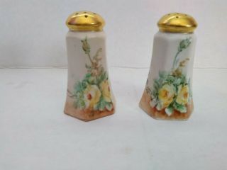 Vintage Hand Painted Roses Salt & Pepper Shakers 2