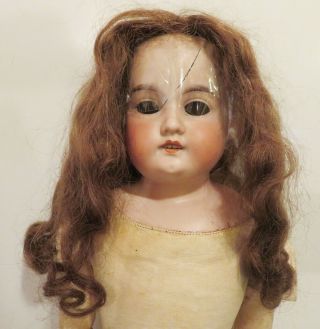 Antique Bisque Doll Human Hair Wig