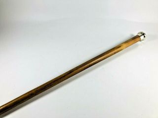 Vintage Walking Stick Cane Silver Knob With Worn Hallmark