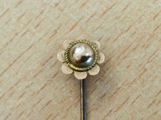 Antique 9ct Gold Stick Pin 1900