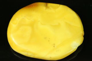 8.  6 Gr.  Natural Old Antique Butterscotch Egg Yolk Baltic Amber Stone B742