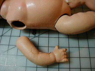 Vintage 15” Composition Baby Doll Drink Wet TLC Dione Quint? 3