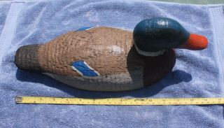 Animal Trap Co of North America VICTOR Mallard Duck Bird Decoy 4