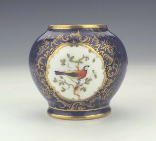 Antique Coalport Porcelain - Miniature Bird Painted Cobalt Blue & Gilt Vase