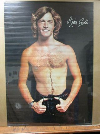 Vintage 1977 Andy Gibb Singer Artist Music Poster 13120
