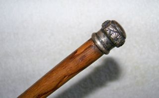Vtg/antique R.  F.  S.  & Co Signed Floral Sterling Silver Knob 23 " Wood Swagger Stick