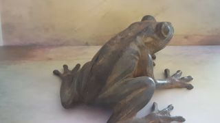 French Solid Bronze Sculpture Of A Frog Signed P Chenet 4