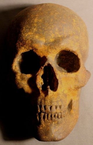 Roman Human Skull Death Mask Sculpture Medical Catacomb Greek Gothic Masonic