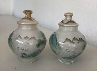 VINTAGE LARGE REVERSE HAND PAINTED JAPANESE GLASS SNUFF BOTTLES 2