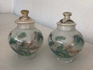 VINTAGE LARGE REVERSE HAND PAINTED JAPANESE GLASS SNUFF BOTTLES 3