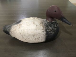 Antique Duck Decoy Victor Animal Trap Co.  Wood Canvasback Redhead
