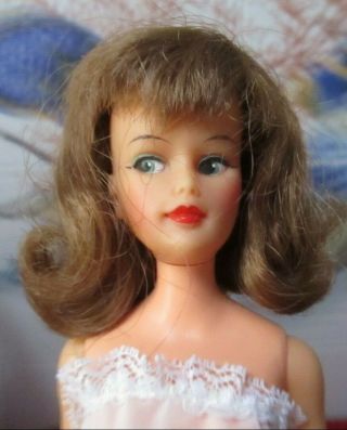 1965 Ideal Tammy Family " Misty Glamour " Doll Factory Set Hair,  Perfect Face S/l