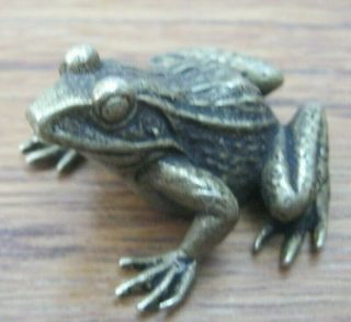 Well Detailed Vienna Design Miniature Lost Wax Cast Bronze Of A Frog 2