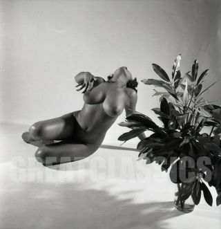 Deda Jenador Lovely Nude Figure Model 1960s 2 1/4 Camera Negative Peter Basch