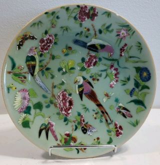 Antique Chinese Celadon Hand Painted Plate - Bird,  Butterflies,  Roses