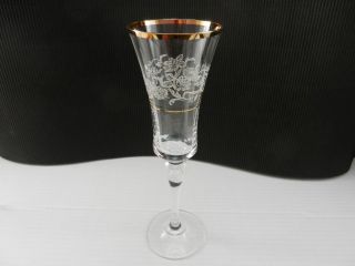 Mikasa Crystal Antique Lace Champagne Flute Clear Gold Trim 9 1/8 " T Ca 1989 - 17