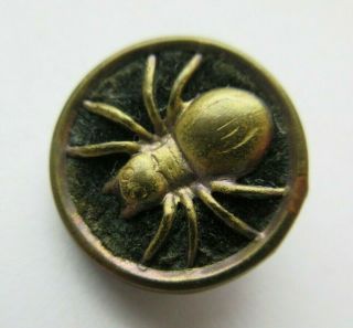 Delightful Antique Vtg Velvet In Metal Picture Perfume Button Spider Insect (i)