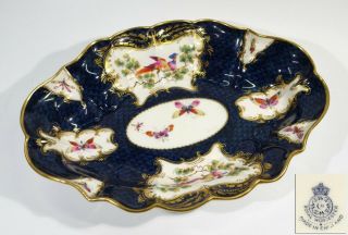 Antique Royal Worcester Oval Dish Painted With Exotic Birds On Blue Ground.