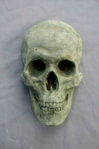 Human Skull Death Mask Sculpture Medical Catacomb Greek Gothic Masonic Concrete