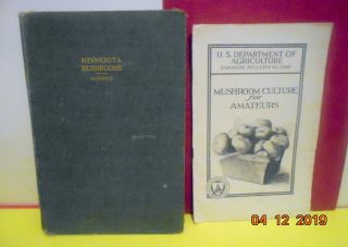 2 Antique Vintage Mushrooms Books U Of M Illustrated 1910 Mn Guide/recipes/grow