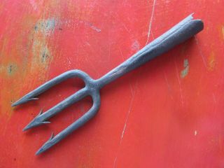 Antique Blacksmith Hand Forged Iron Frog Fish Eel Spear Trident Gig 1800 
